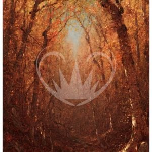 May include: A path through a forest in autumn with golden leaves on the trees and sunlight shining through the branches.