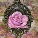 Denise Ward Designs