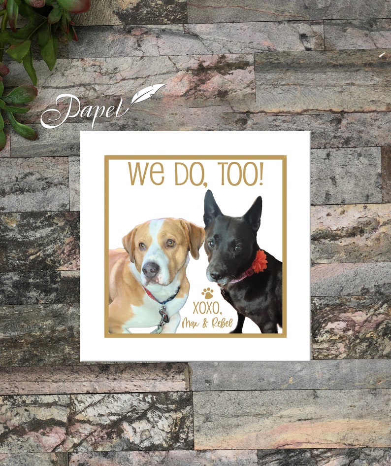 Personalized Dog Cat Photo Wedding Cocktail Napkins Reception Etsy