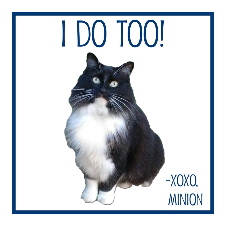 Personalized Cat Dog Wedding Cocktail Napkins Luncheon Etsy