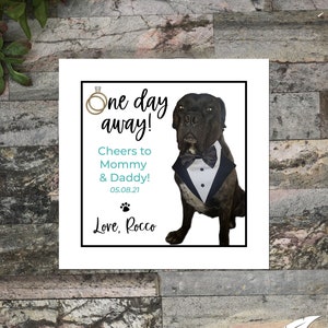 Pet Rehearsal Dinner Napkins – Personalized One Day Away Cocktail Napkins with Dog or Cat Photo | Custom Ink Colors for Wedding