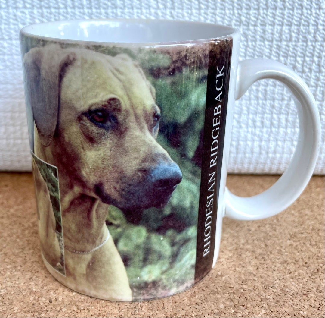 Vtg Rhodesian Ridgeback Mug, Breed Photos and Facts, Barbara Augello ...