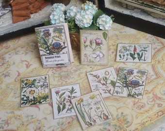 May include: A set of botanical prints featuring various flowers and plants. The prints are on a cream-colored background with gold trim. The prints are arranged on a patterned rug. The title of the set is "Botanical Prints: The art of the garden."