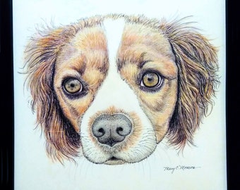 Puppy Face- Original, hand-drawn, colored pencil and ink drawing, framed - Free Shipping USA