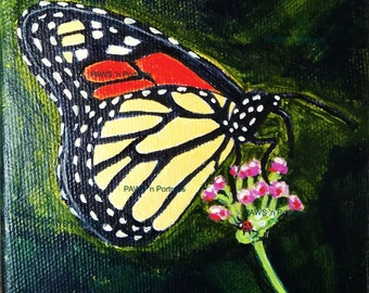 Monarch Butterfly - 4x4 Original - Hand painted - Signed - FREE Shipping
