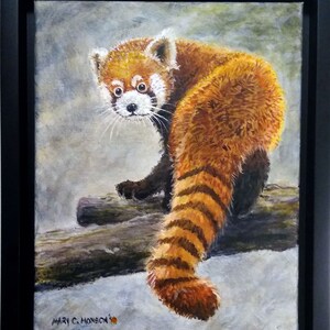 Red Panda portrait 8x10 ORIGINAL hand-painted ~ FREE Shipping USA
