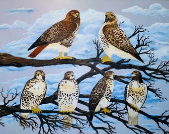 Red-tailed Hawk family portrait L's 2022 - Cornell - 36x48 - Free Shipping