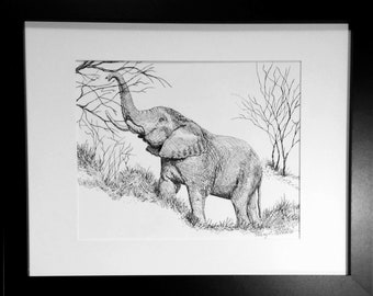 Elephant - Original, hand-drawn, ink drawing, framed - Free Shipping USA