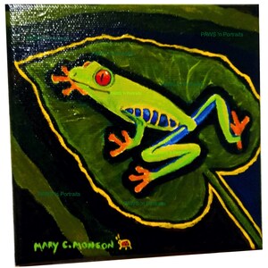 Red-eyed Tree Frog - Hand painted - Original- FREE Shipping