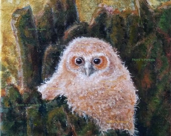 MOTTLED Owlet Portrait - Hand painted - Original- FREE Shipping