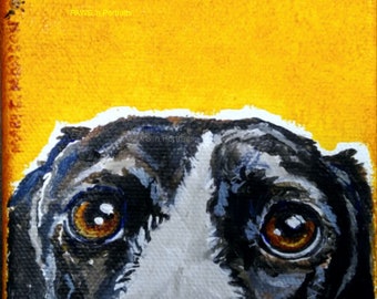 CODA - pup portrait - 4x4 Original - Hand painted - Signed - FREE Shipping