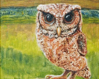 Reddish Spotted Scops Owl ~ Original, hand-painted 11x14, unframed.  FREE shipping USA