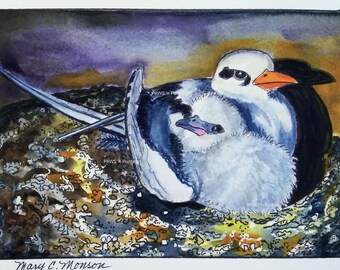 White-tailed Tropicbird portrait original in Ink & Watercolor 5x7 paper.  FREE Shipping