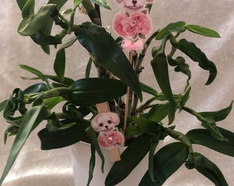 cute puppy dogs flower stick or plant pot decorations and matching peg with glitter diamante and ribbon detail