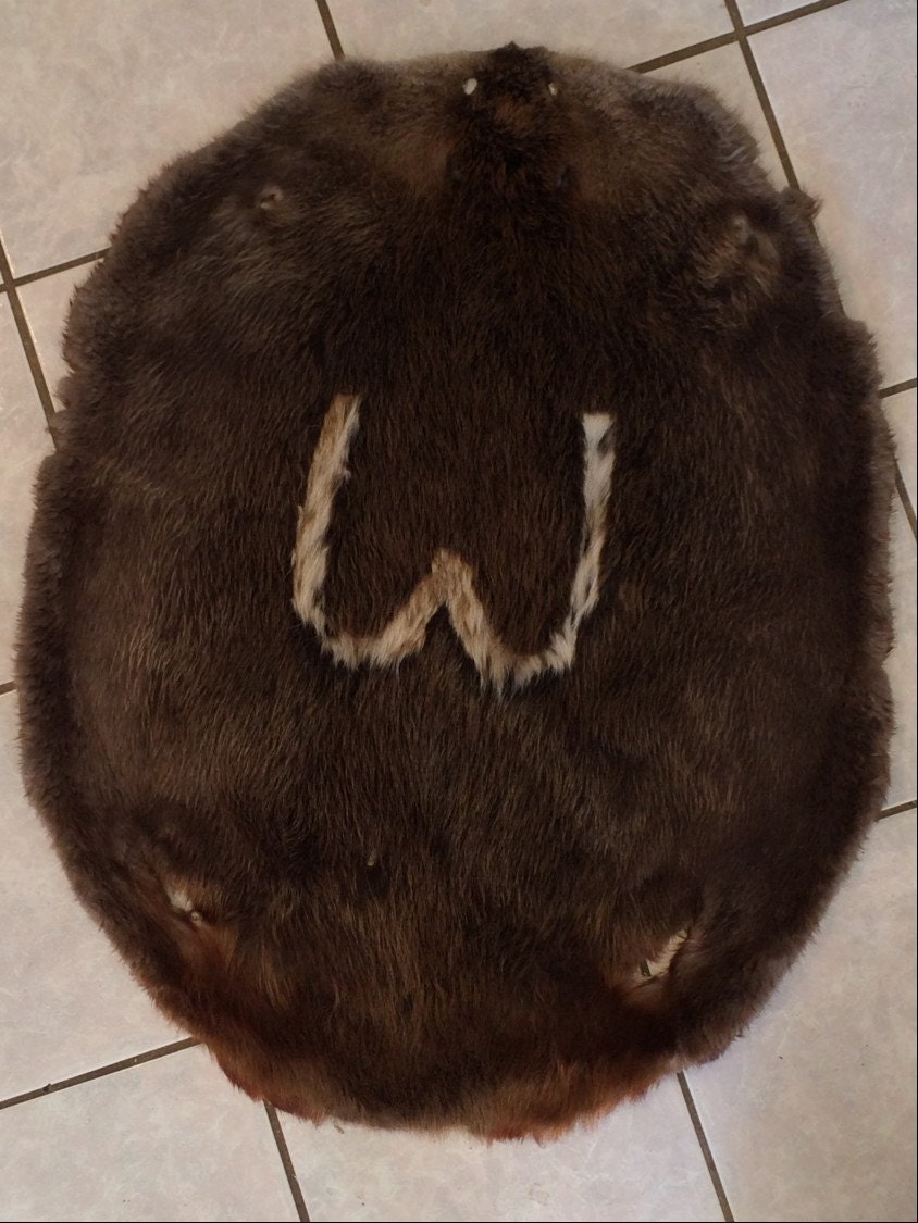 Genuine American Beaver Rug With Bobcat Inlay. Etsy