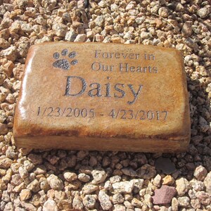 May include: A brown rectangular stone memorial with the text "Forever in Our Hearts" and the name "Daisy" engraved on it. The dates "1/23/2005 - 4/23/2017" are also engraved on the stone.
