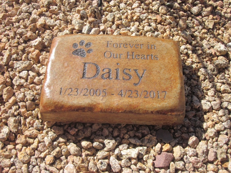 May include: A brown rectangular stone memorial with the text "Forever in Our Hearts" and the name "Daisy" engraved on it. The dates "1/23/2005 - 4/23/2017" are also engraved on the stone.