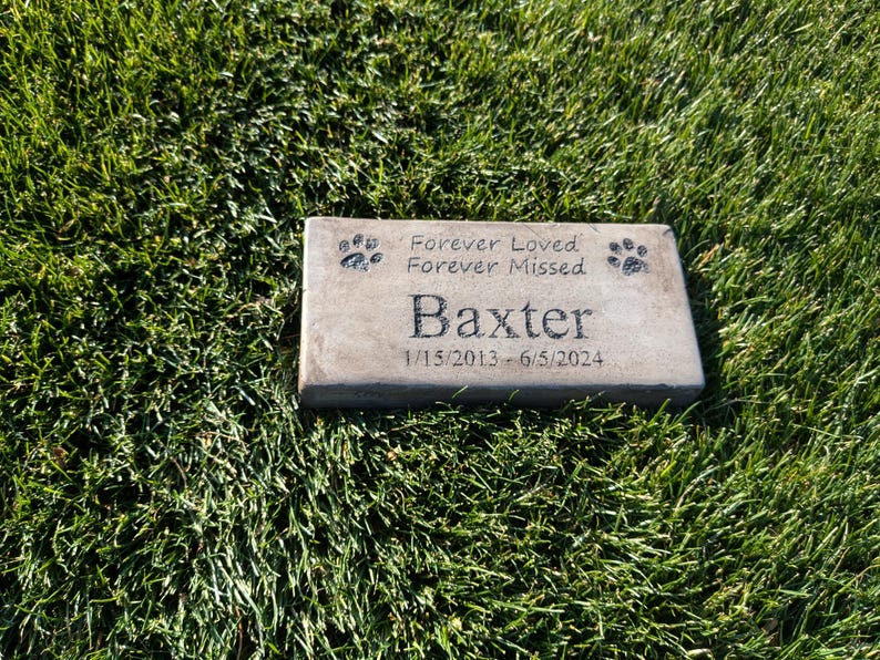 May include: A gray concrete pet memorial stone with paw prints and the inscription "Forever Loved Forever Missed Baxter 1/15/2013 - 6/5/2024"