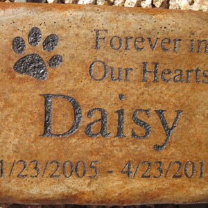 May include: A brown rectangular stone memorial with a black paw print, the text "Forever in Our Hearts", the name "Daisy", and the dates "1/23/2005 - 4/23/2017".