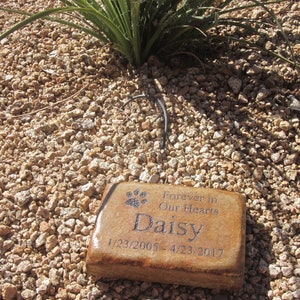 May include: A brown stone memorial with a paw print and the text "Forever in Our Hearts Daisy 1/23/2005 - 4/23/2017" on a bed of small brown rocks.