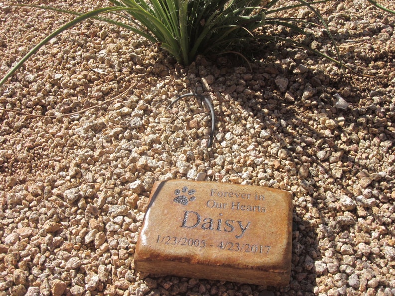 May include: A brown stone memorial with a paw print and the text "Forever in Our Hearts Daisy 1/23/2005 - 4/23/2017" on a bed of small brown rocks.