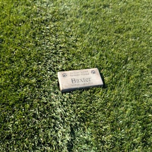 May include: A light brown rectangular stone memorial with the text "Forever Loved Forever Missed" and "Baxter" with paw prints on either side.