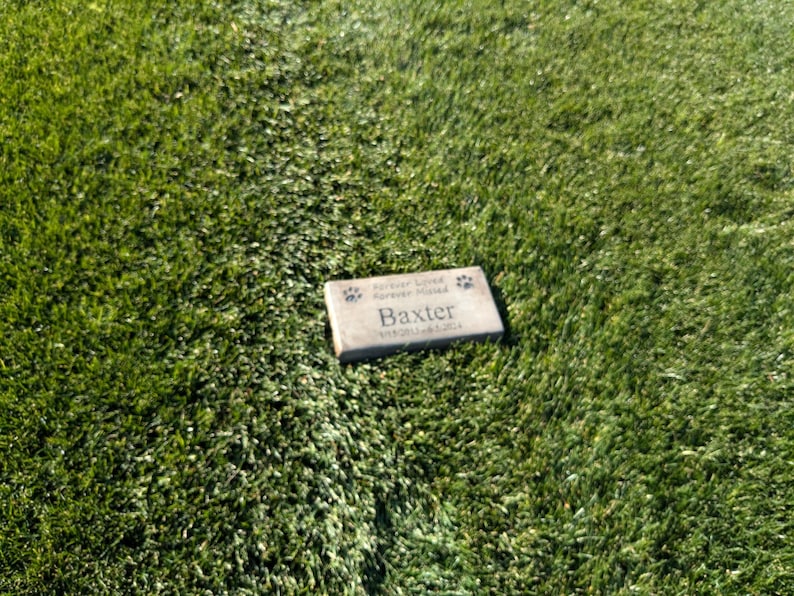 May include: A light brown rectangular stone memorial with the text "Forever Loved Forever Missed" and "Baxter" with paw prints on either side.