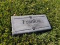 Personalized Engraved Pet Memorial  Stone 11.5"x 5.5"  Paw Images