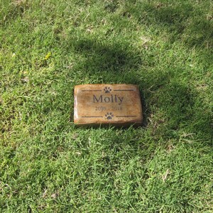 May include: A brown rectangular stone engraved with the name "Molly" and the dates "2008 - 2018". The stone has paw prints on either side of the name.
