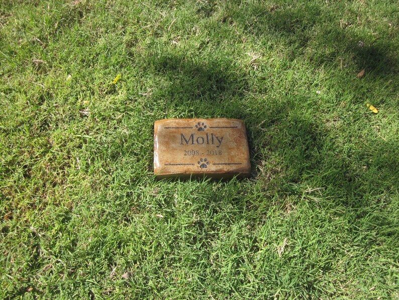 May include: A brown rectangular stone engraved with the name "Molly" and the dates "2008 - 2018". The stone has paw prints on either side of the name.