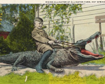 Vintage 1900s Postcard of Hot Springs Alligator Farm – Arkansas, Gator, Reptiles (Used)