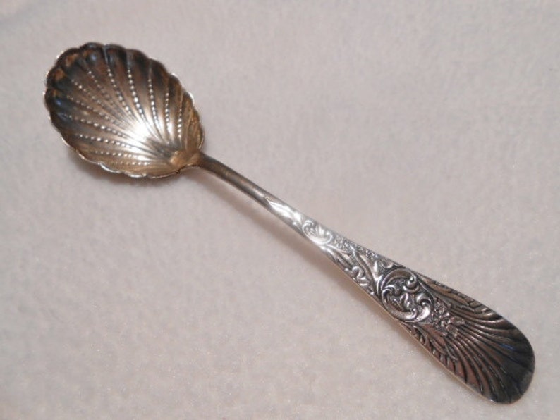 Antique Spoon Sterling Silver Scalloped Edged Sugar Shell Etsy