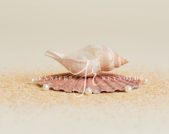 Sea Shell Bowl Backdrop, Shell Digital Prop, Beach Backdrop, Background for Newborn Photography