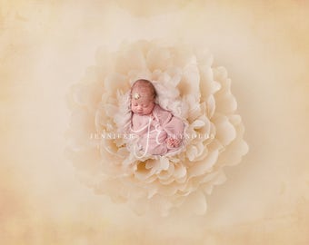 Flower Bowl Digital Backdrop, Digital Flower Prop Newborn, Background Flower Bowl for Newborn Photography