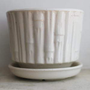 May include: A cylindrical white ceramic planter with a raised vertical bamboo-like texture on the exterior surface. The planter sits on a matching circular white ceramic saucer, both featuring a glossy finish with subtle speckles in the clay.