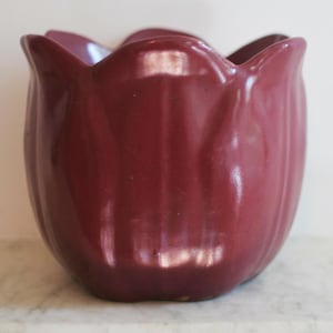 May include: A burgundy ceramic vase shaped like a tulip. The vase has a glossy finish and a scalloped rim. The vertical ridges give the vase a textured appearance. The vase is a decorative item.