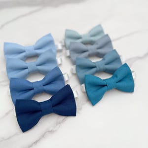 Papillon blu, papillon da sposa, abito da portatore dell&#39;anello, matrimonio boho, regalo per lo sposo, abito da sposa rustico, abito da ballo