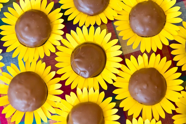 Sunflower cupcake wrapper Set of 12 Etsy