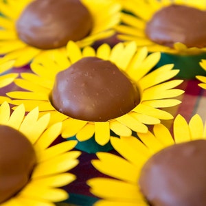 Sunflower/Daisy cupcake wrappers - Set of 12