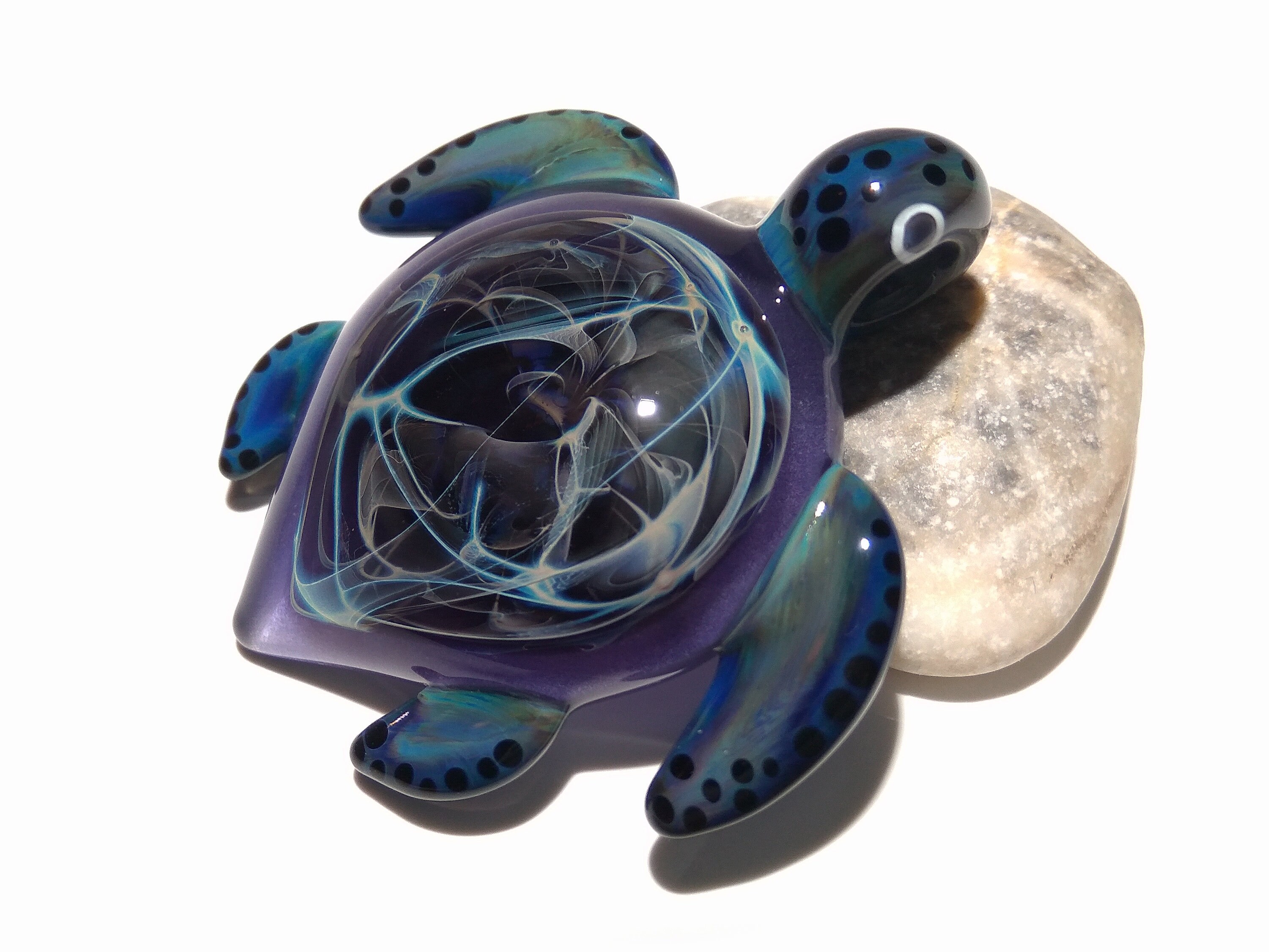 turtles whisperings turtles whisperings