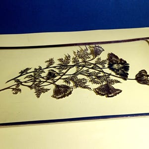 May include: A rectangular glass serving tray with a silver rim and a floral design. The design features a branch of stylized flowers with black leaves and petals.