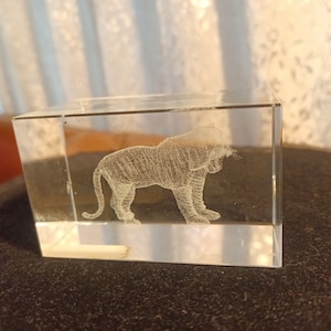 Puede incluir: Un pisapapeles de vidrio transparente con una imagen grabada en 3D de un tigre en su interior. El tigre está mirando hacia el lado derecho del pisapapeles.