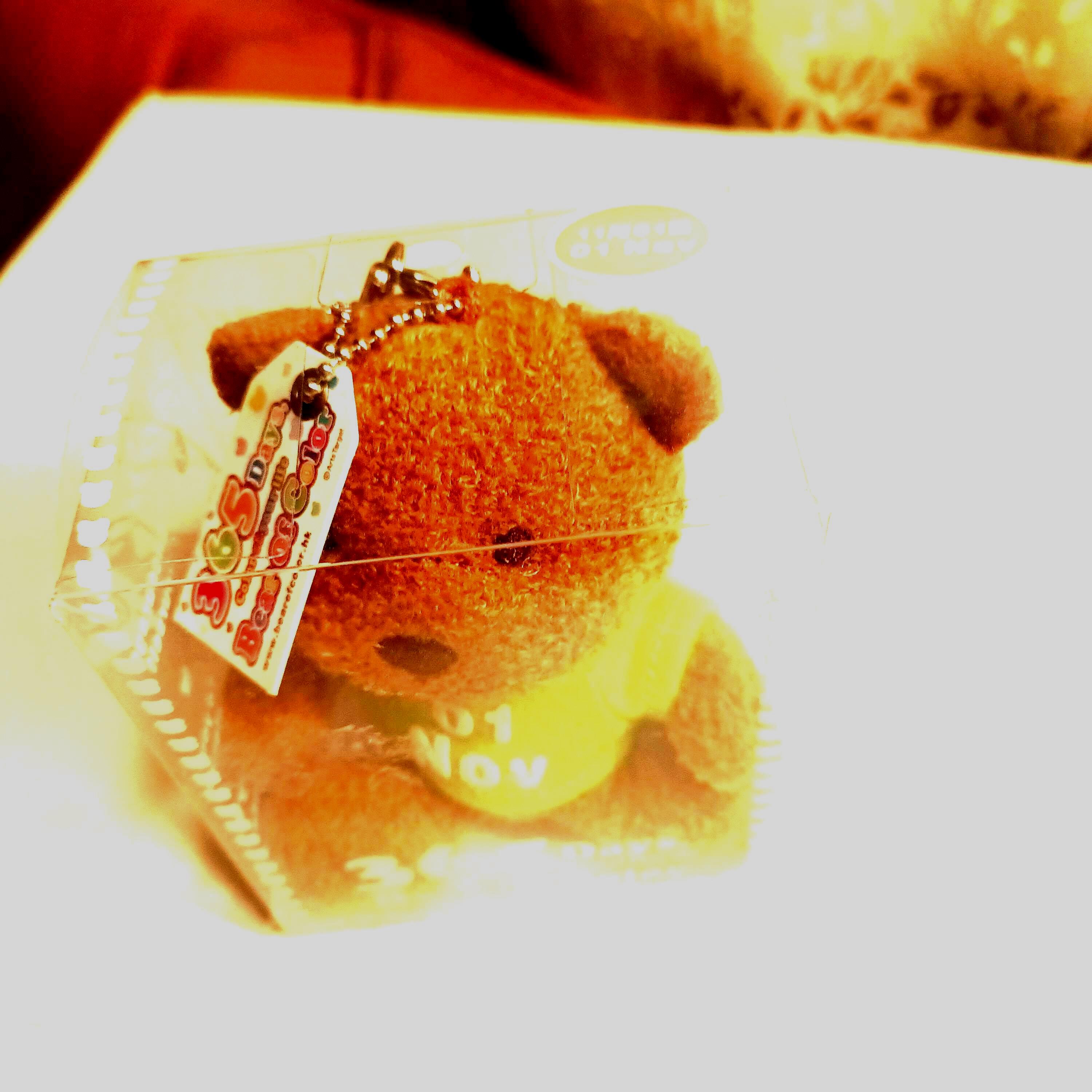 365 Days Bear of Color Plush Keychain Toy - Etsy