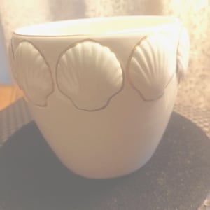 White Seashell Motif on Rim White/Gold Trim Round Ceramic Planter