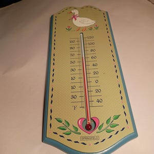 May include: A decorative wooden thermometer with a duck illustration at the top. The thermometer displays Fahrenheit readings, with a current temperature reading of approximately 70 degrees Fahrenheit. The word "Springfield" is at the bottom.