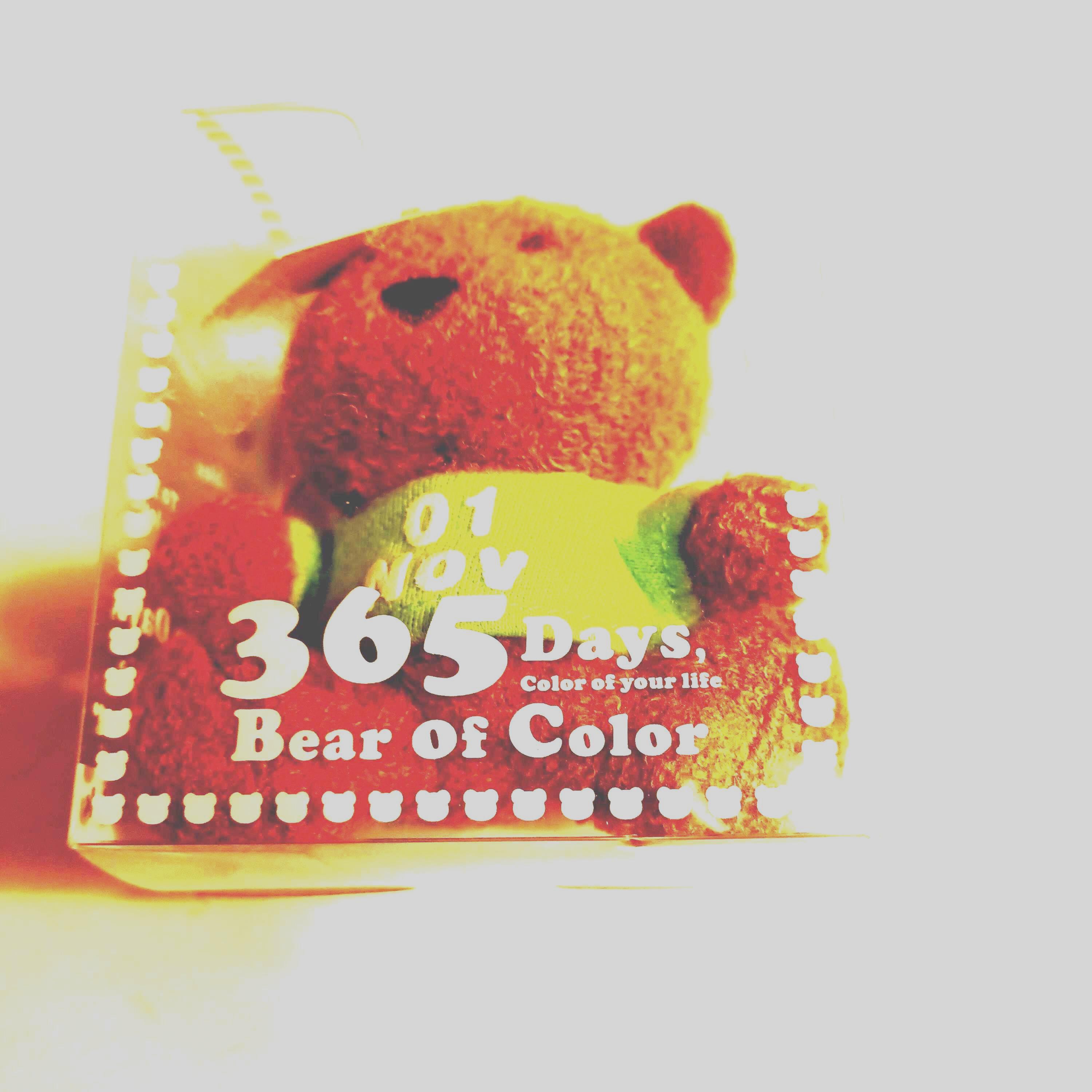 365 Days Bear of Color Plush Keychain Toy - Etsy
