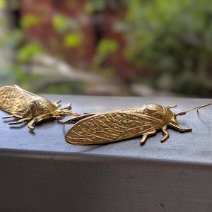 Brass Cicada earrings