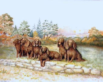 AMERICAN WATER SPANIEL watercolor print of  Ty-Grim dogs of 1955 by Constance Rutherford
