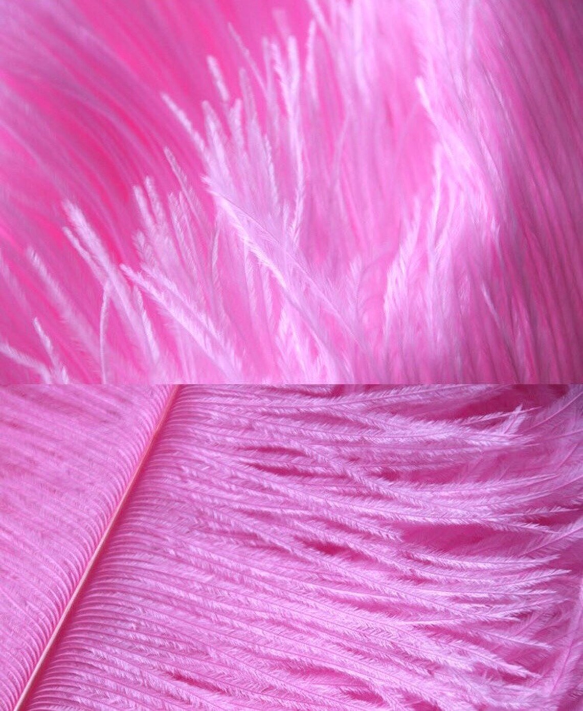 300 Pink Feathers wall backdrop for wedding 9.85 inches x Etsy
