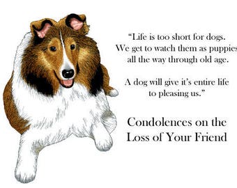 Collie - Dog Sympathy Card - Loss of a Dog, Pet, Puppy - Sympathy Best Friend - Condolence for Pet - Family Pet Loss©